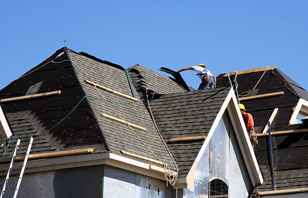 Best Roof Moss and Algae Removal  in The Hammocks, FL