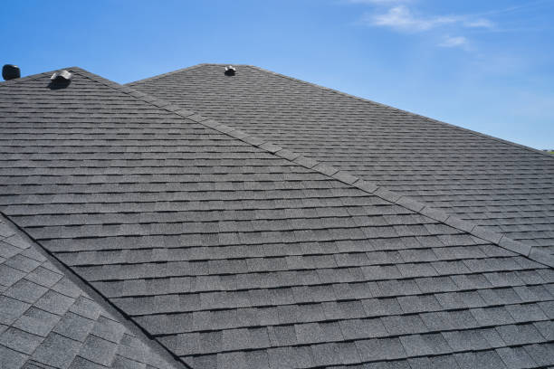 Best Roof Ventilation Installation  in The Hammocks, FL